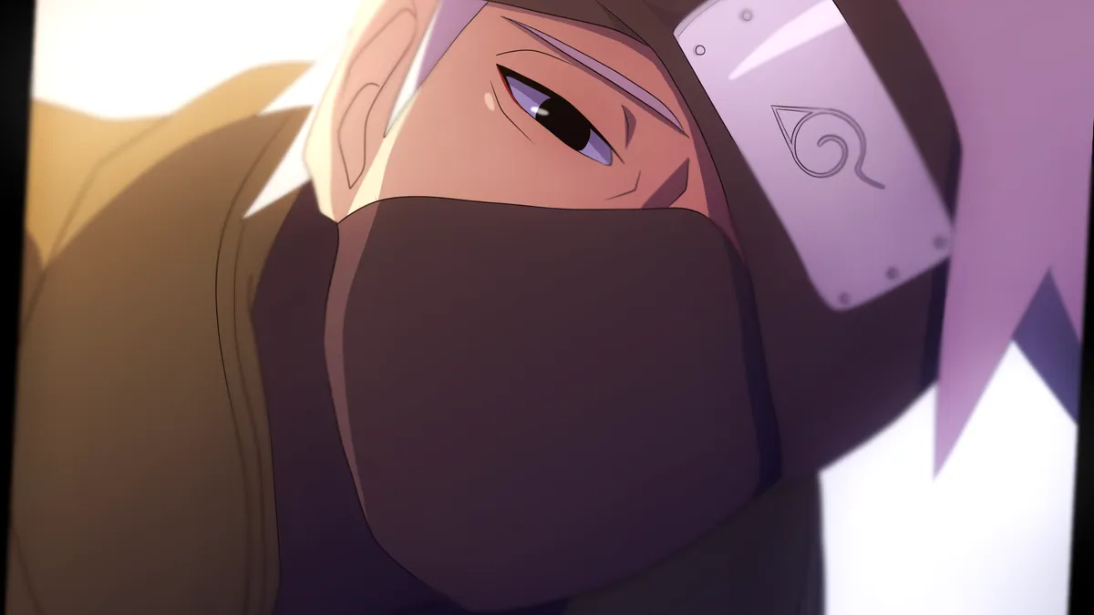 Bloomfolio Complete Guide: Building Your Portfolio